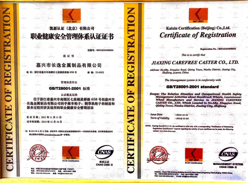 certificate08